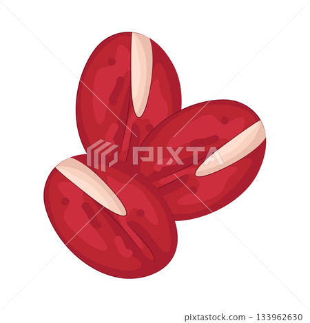 Illustration of bean  133962630