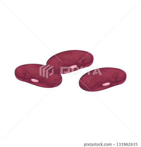 Illustration of kidney bean Illustration of kidney bean 133962635