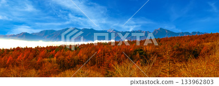 View of the Southern Alps View of the Southern Alps 133962803