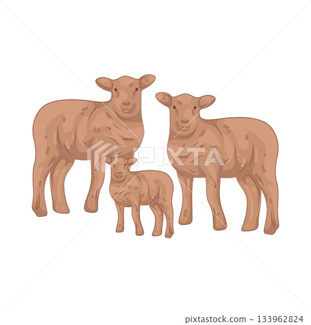 Illustration of lamb 133962824