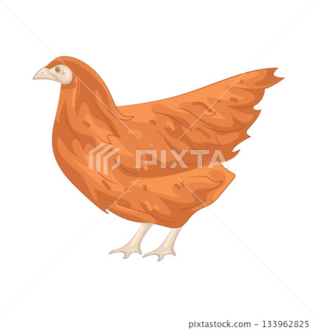 Illustration of chicken  133962825