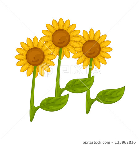 Illustration of sunflower  133962830