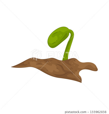 Illustration of seedling Illustration of seedling 133962838