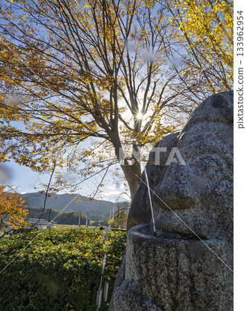 Stone statues at the Asuka Historical Museum and the autumn scenery shining with yellow leaves Stone statues at the Asuka Historical Museum and the autumn scenery shining with yellow leaves 133962954