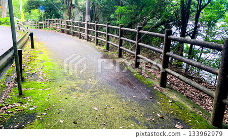 Kawachi Reservoir in Kitakyushu City 133962979