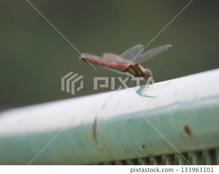 維護良好的棒球場 133963101