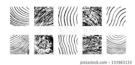 Wood cross section Wood cross section 133963133