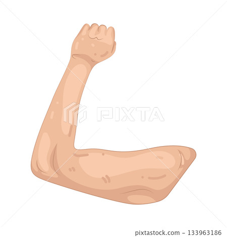Illustration of arm 133963186