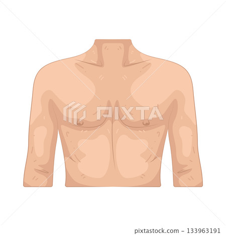 Illustration of torso Illustration of torso 133963191