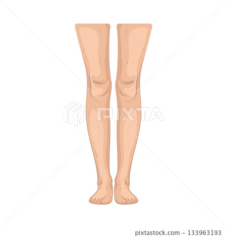 Illustration of human leg Illustration of human leg 133963193