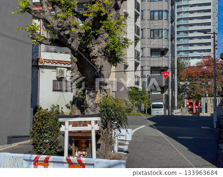 [大阪] 玉造稻荷神社 133963684