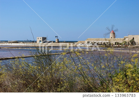 Salt Pans Scenic Landscape in Sicily Salt Pans Scenic Landscape in Sicily 133963783