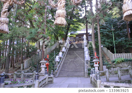 【大阪】平岡神社 133963925