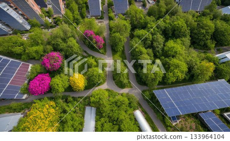 Aerial view of flower garden within a modern cityscape Aerial view of flower garden within a modern cityscape 133964104