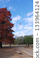 從公園可以看到熱氣球在空中漂浮。 133964124
