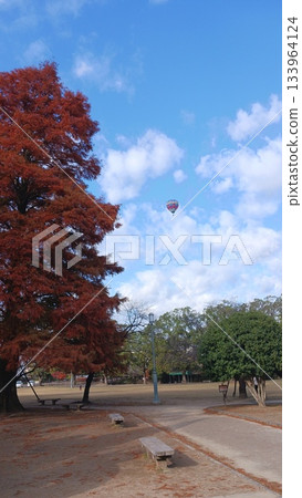 Hot air balloons floating in the sky seen from the park 133964124