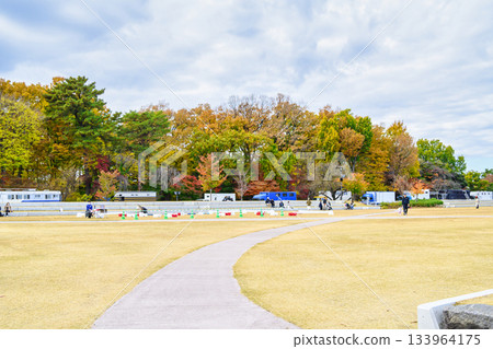 世田谷區、東京馬蹄公園 Harappa 廣場 世田谷區、東京馬蹄公園 Harappa 廣場 133964175