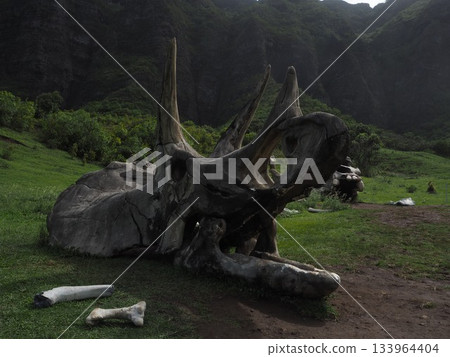 Kualoa Ranch, Hawaii: Spectacular views of Ka'a'awa Valley and the Ko'olau Mountains, famous as filming locations for movies. 133964404