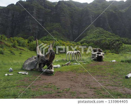 夏威夷庫阿洛亞牧場：可欣賞卡阿瓦山谷和科奧勞山脈的壯麗景色，這裡是著名的電影拍攝地。 133964405