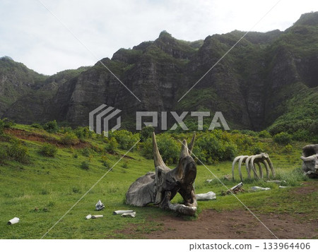 夏威夷庫阿洛亞牧場:可欣賞卡阿瓦山谷和科奧勞山脈的壯麗景色,這裡是著名的電影拍攝地。 夏威夷庫阿洛亞牧場:可欣賞卡阿瓦山谷和科奧勞山脈的壯麗景色,這裡是著名的電影拍攝地。 133964406