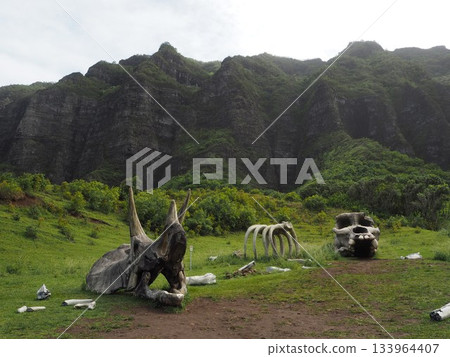 夏威夷庫阿洛亞牧場:可欣賞卡阿瓦山谷和科奧勞山脈的壯麗景色,這裡是著名的電影拍攝地。 夏威夷庫阿洛亞牧場:可欣賞卡阿瓦山谷和科奧勞山脈的壯麗景色,這裡是著名的電影拍攝地。 133964407