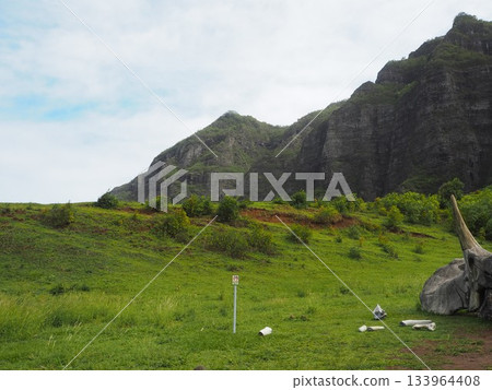 夏威夷庫阿洛亞牧場:可欣賞卡阿瓦山谷和科奧勞山脈的壯麗景色,這裡是著名的電影拍攝地。 夏威夷庫阿洛亞牧場:可欣賞卡阿瓦山谷和科奧勞山脈的壯麗景色,這裡是著名的電影拍攝地。 133964408
