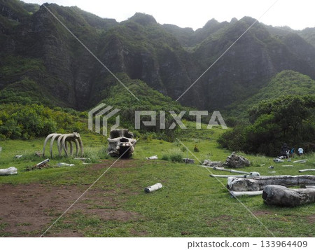 Kualoa Ranch, Hawaii: Spectacular views of Ka'a'awa Valley and the Ko'olau Mountains, famous as filming locations for movies. Kualoa Ranch, Hawaii: Spectacular views of Ka'a'awa Valley and the Ko'olau Mountains, famous as filming locations for movies. 133964409