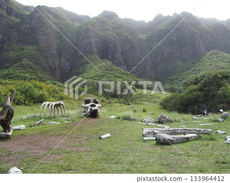 夏威夷庫阿洛亞牧場:可欣賞卡阿瓦山谷和科奧勞山脈的壯麗景色,這裡是著名的電影拍攝地。 夏威夷庫阿洛亞牧場:可欣賞卡阿瓦山谷和科奧勞山脈的壯麗景色,這裡是著名的電影拍攝地。 133964412