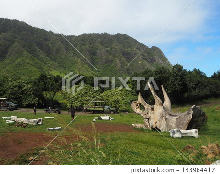 夏威夷庫阿洛亞牧場:可欣賞卡阿瓦山谷和科奧勞山脈的壯麗景色,這裡是著名的電影拍攝地。 夏威夷庫阿洛亞牧場:可欣賞卡阿瓦山谷和科奧勞山脈的壯麗景色,這裡是著名的電影拍攝地。 133964417