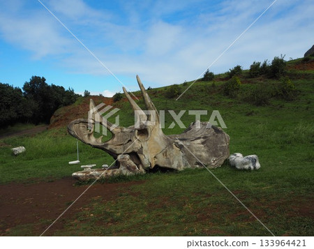 Kualoa Ranch, Hawaii: Spectacular views of Ka'a'awa Valley and the Ko'olau Mountains, famous as filming locations for movies. 133964421