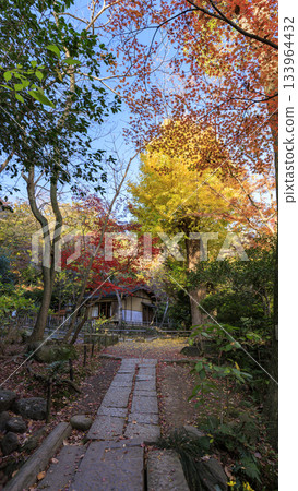 Sankeien Garden with blue skies and autumn leaves Sankeien Garden with blue skies and autumn leaves 133964432