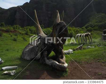 Kualoa Ranch, Hawaii: Spectacular views of Ka'a'awa Valley and the Ko'olau Mountains, famous as filming locations for movies. 133964475