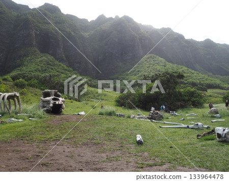 夏威夷庫阿洛亞牧場:可欣賞卡阿瓦山谷和科奧勞山脈的壯麗景色,這裡是著名的電影拍攝地。 夏威夷庫阿洛亞牧場:可欣賞卡阿瓦山谷和科奧勞山脈的壯麗景色,這裡是著名的電影拍攝地。 133964478