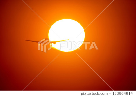 飛機和日落 133964914