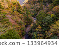 Sumata Gorge in the height of autumn 133964934