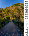 Hiryu Bridge in Sumata Gorge in the height of autumn 133964935