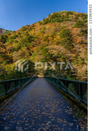 Hiryu Bridge in Sumata Gorge in the height of autumn 133964935