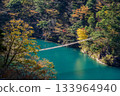 Sumata Gorge and Dream Suspension Bridge in autumn 133964940
