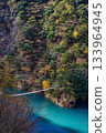 Sumata Gorge and Dream Suspension Bridge in autumn 133964945