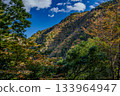The autumn leaves of the dimple gorge 133964947