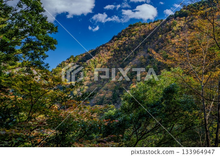 The autumn leaves of the dimple gorge 133964947