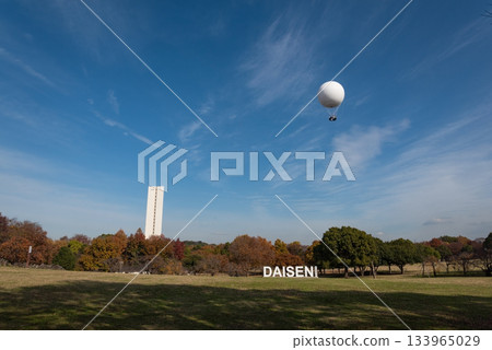 大阪府堺市大仙公園。照片拍攝於12月。 133965029