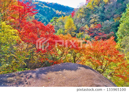 鬼岩公園的秋葉 鬼岩公園的秋葉 133965100
