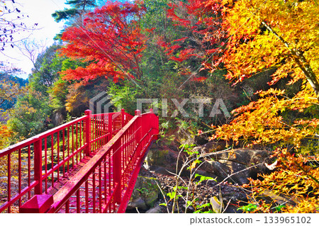 鬼岩公園的秋葉 133965102
