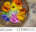 Beautiful edible flowers grown in the garden Beautiful edible flowers grown in the garden 133965111