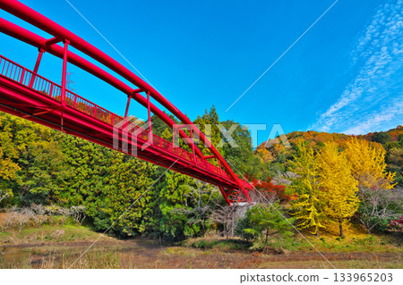 Autumn leaves of Otaki Valley Autumn leaves of Otaki Valley 133965203