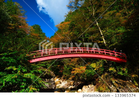 秋日傍晚,森谷,龍神瀑布 秋日傍晚,森谷,龍神瀑布 133965374