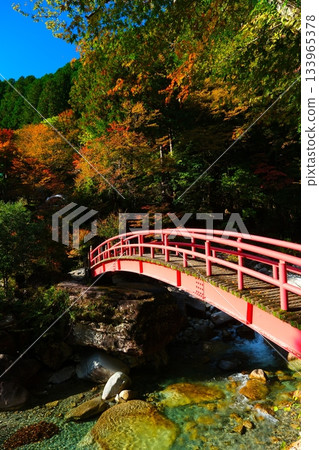 秋日傍晚，森谷，龍神瀑布 133965378