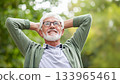 Senior man smiling relaxing outdoors feeling carefree 133965461