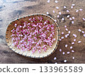 Okamezakura, with its cute pale pink petals Okamezakura, with its cute pale pink petals 133965589
